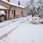 Grimani *