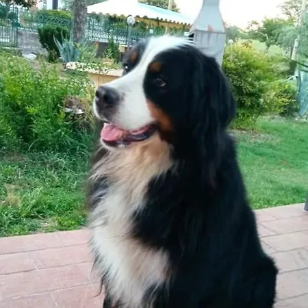 Διαμέρισμα Grimani