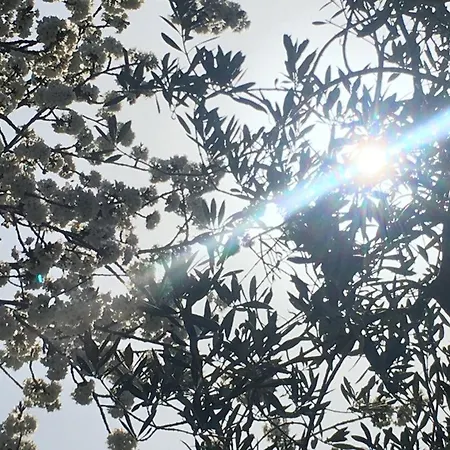 Grimani Apartamento Stroncone