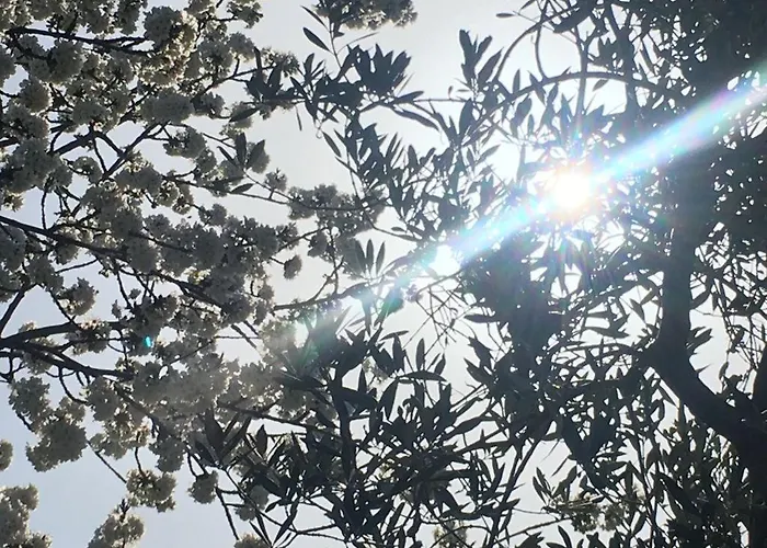 Grimani شقة Stroncone